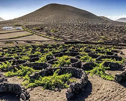 Casa Mic&ele Apartment Playa Blanca (Lanzarote)